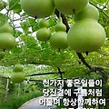 '♡' 글에 포함된 이미지