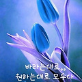 '.' 글에 포함된 이미지