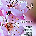 '우리의 삶 대가를 바' 글에 포함된 이미지