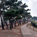 '출석합니다,' 글에 포함된 이미지