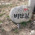 '한낯 기온이 무더운 ' 글에 포함된 이미지