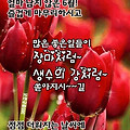 '육월의 마지막 날 ' 글에 포함된 이미지