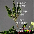 '선을 다 하고자 결심' 글에 포함된 이미지