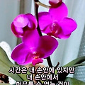 '좋은 일만 가득한 하' 글에 포함된 이미지