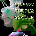 '인시꾸벅~^^' 글에 포함된 이미지