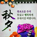 '풍성한 명절 되세요.~' 글에 포함된 이미지