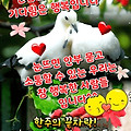 '출석합니다' 글에 포함된 이미지