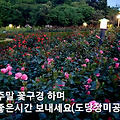 'ㆍ' 글에 포함된 이미지