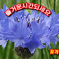 '5월 마지막 한주가 고' 글에 포함된 이미지