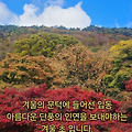 '입동 ' 글에 포함된 이미지