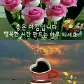 '상쾌한 아침 🌄즐겁' 글에 포함된 이미지