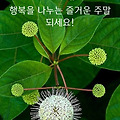 '출석' 글에 포함된 이미지