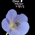 '.' 글에 포함된 이미지