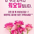 '.' 글에 포함된 이미지