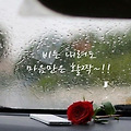'출석합니다.' 글에 포함된 이미지