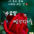 '2024년1/3일첫수요일' 글에 포함된 이미지