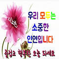 '출석합니다.' 글에 포함된 이미지