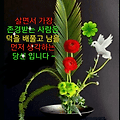'새벽 공기가 쌀쌀하고' 글에 포함된 이미지
