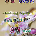 '팔월의 첫날 ' 글에 포함된 이미지