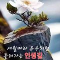 '출석합니다' 글에 포함된 이미지