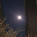 '서울에 달보며 출석합' 글에 포함된 이미지