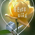 '.' 글에 포함된 이미지