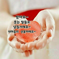 '2월마지막 주말 즐겁' 글에 포함된 이미지