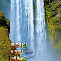 '출석합니다' 글에 포함된 이미지