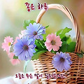 '.' 글에 포함된 이미지