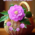 'ㆍ' 글에 포함된 이미지