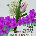 '출석합니다' 글에 포함된 이미지