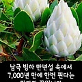 '인생의 성공과 행복은' 글에 포함된 이미지