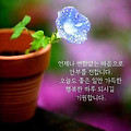 '출석합니다' 글에 포함된 이미지