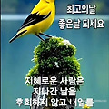 '해맑은 아침에 반가운' 글에 포함된 이미지