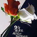 '오랜만이네 출석합니' 글에 포함된 이미지