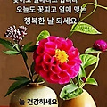 '편안하고 행복한 휴일' 글에 포함된 이미지
