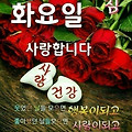 '쌀쌀하니 따시게 입고' 글에 포함된 이미지