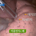 '본 카페에서 금연 운' 글에 포함된 이미지