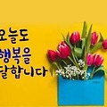 'ㆍ' 글에 포함된 이미지