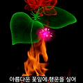 '로또를 사지 않고 당' 글에 포함된 이미지
