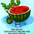 '출석합니다' 글에 포함된 이미지
