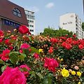 '출석합니다 ^./~' 글에 포함된 이미지