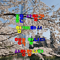 '사랑과 감사의 달 5월' 글에 포함된 이미지