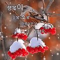 '1월 마무리잘하시고새' 글에 포함된 이미지