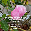 '우리는 자신의 생각에' 글에 포함된 이미지