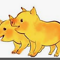 '고구마 심었는데 고마' 글에 포함된 이미지