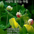 '장마가 시작하는 첫날' 글에 포함된 이미지
