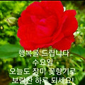 '편안한 하루 보내세요' 글에 포함된 이미지