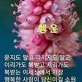 '추석명절 잘 보내시고' 글에 포함된 이미지