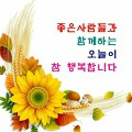 '행복한 월요일 돼세요' 글에 포함된 이미지